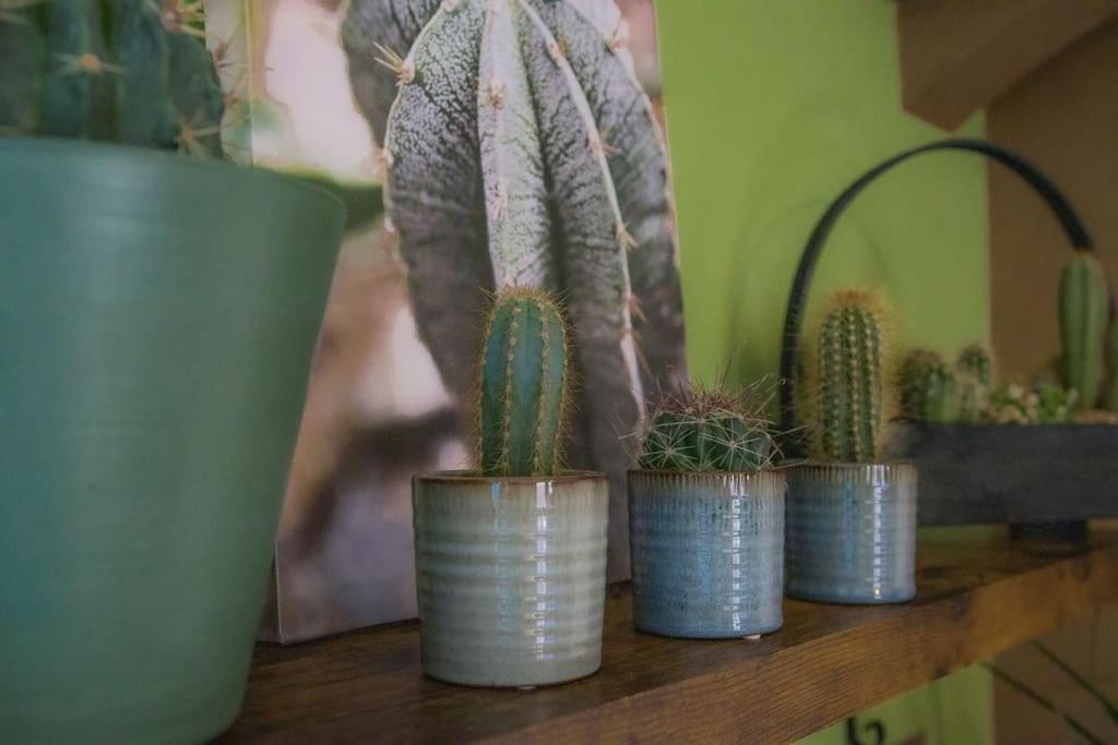 Coin De Nature En Centre-Ville Troyes Eksteriør billede