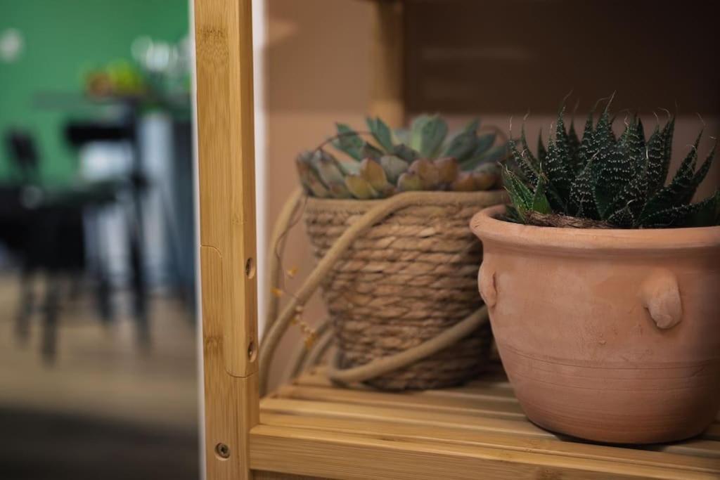 Coin De Nature En Centre-Ville Troyes Eksteriør billede